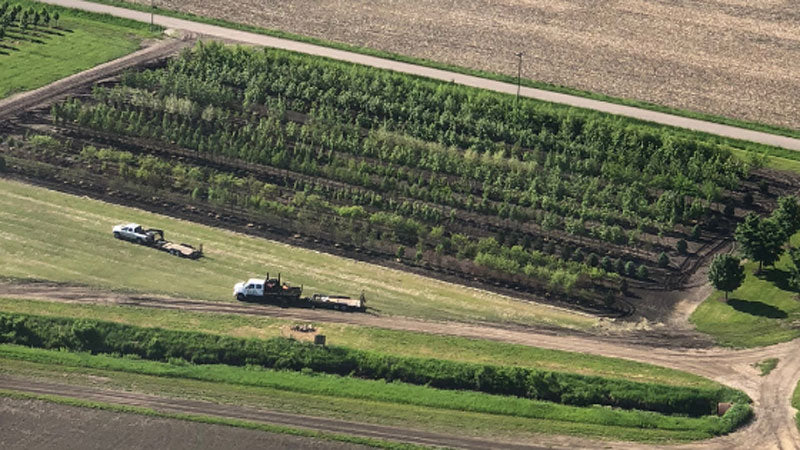 Grower talk- View From Above