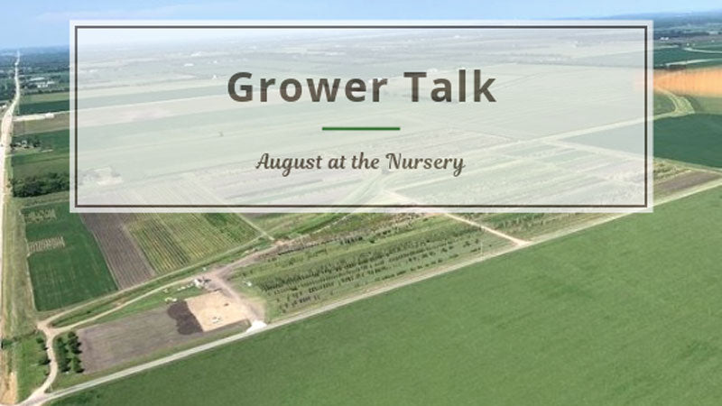 Grower Talk: August at the Nursery