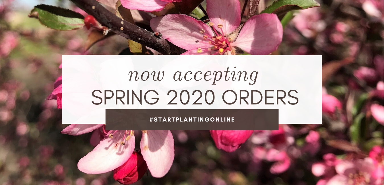 Now Accepting Spring 2020 Orders