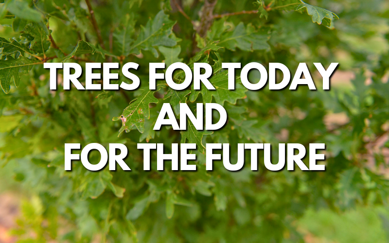 Trees for Today and the Future