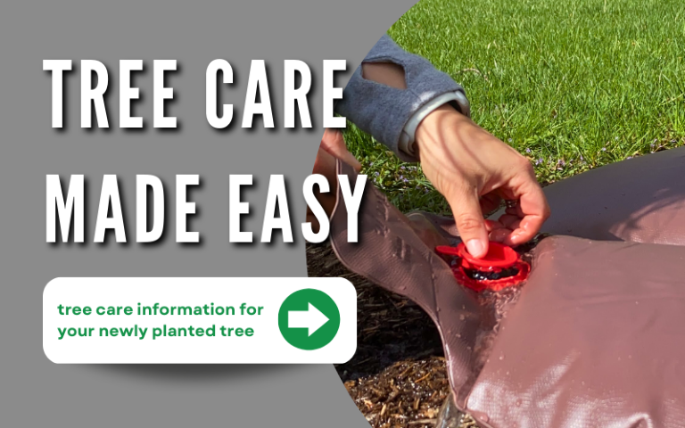 Tree Care Information for Your Newly Planted Tree