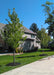 Two newly planted New Horizon Elm trees are planted along a driveway for added shade. The neighbor's house is in the background with a clear blue sky.